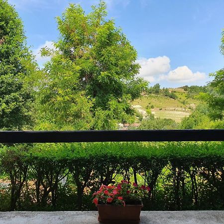 Agriturismo Il Burlino Apartments Lerma Екстериор снимка